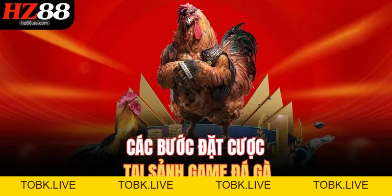 Đá Gà HZ88 | Trực Tiếp Đá Gà Online Nảy Lửa Nhất Hôm Nay
