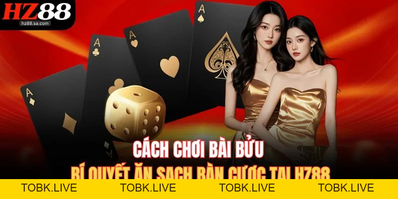 Cách Chơi Bài Bửu HZ88 | Bí Quyết Ăn Sạch Bàn Cược Dễ Dàng