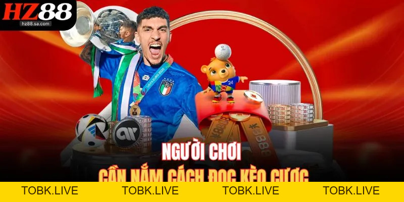 Kèo 0.5 Là Gì? Chia Sẻ Khái Niệm Về Kèo Cược Đơn Giản